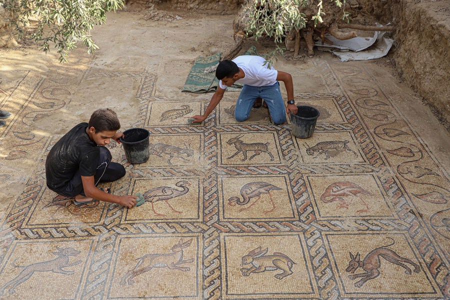 MRElectrique's tweet image. Un llaurador palestí ha descobert un mosaic bizantí, datat d&apos;entre els segles V i VII, mentre plantava oliveres a Gaza.