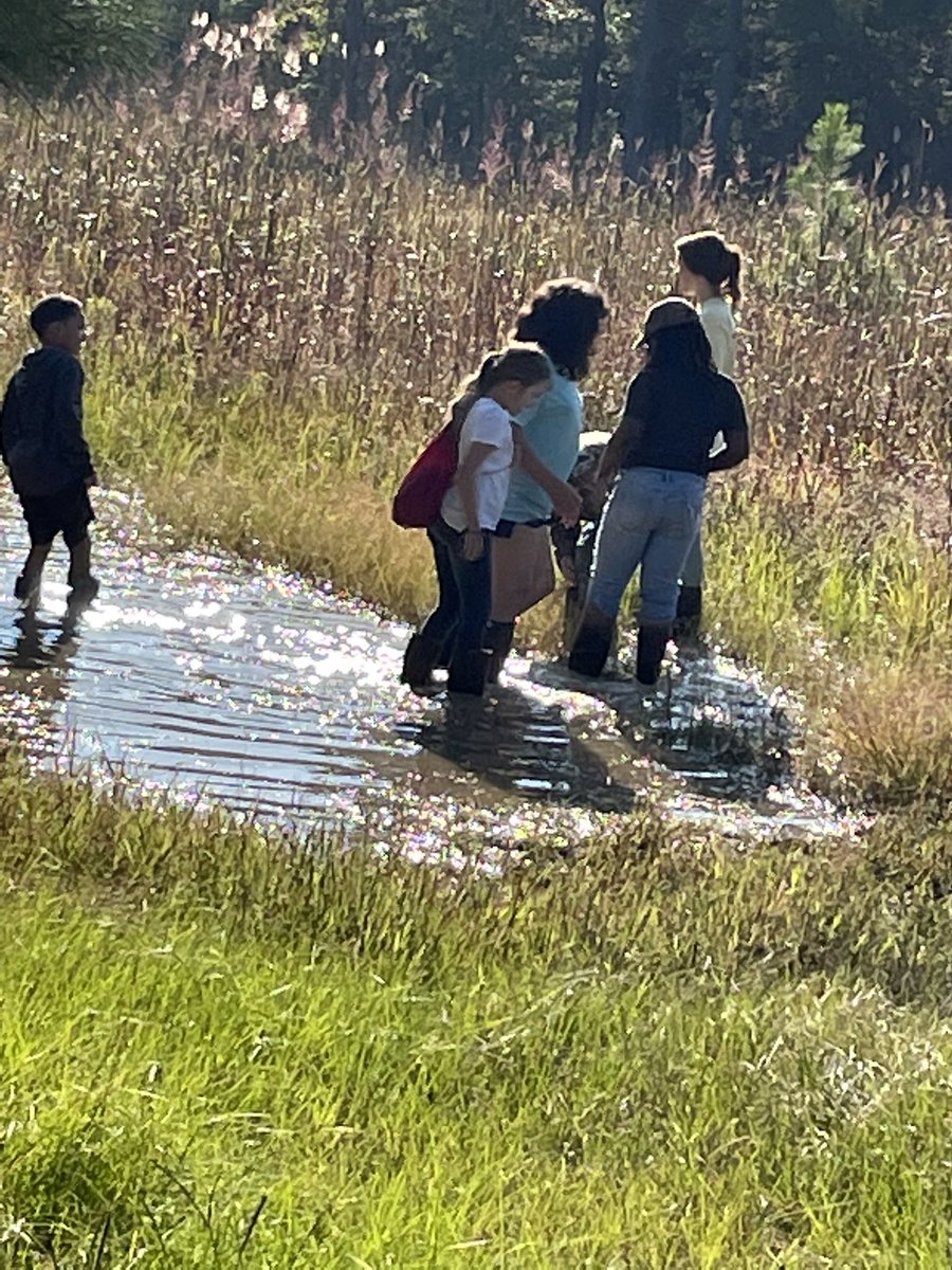 CherryvalePrin1's tweet photo. Day two of Camp Leopold for Cherryvale’s 4th graders…canoeing and exploring the wetlands! Excited about the campfire and S’mores tonight! #FunStuff #OnceInALifetime @CherryvaleElem @DrWrightSupt @SumterSCSchools @RPhillipsSTEM @DrShirleyGamble https://t.co/56syXLIJXB