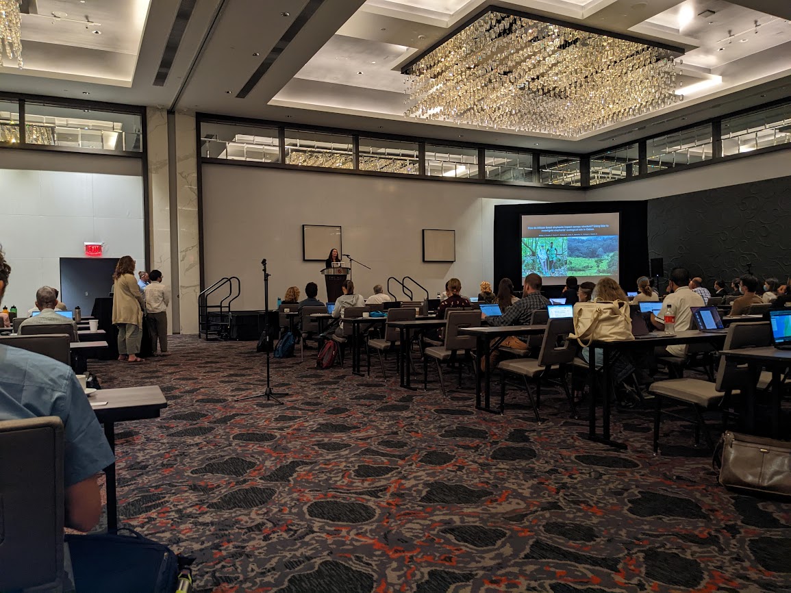 BzGEO's tweet photo. What's next at the 17th #NASABEF team meeting? π€ Fascinating + informative 3-minute speed talks from @NASAEarth and Space Science and Technology (FINESST) program awardees. π§
https://t.co/LlGJ3pVvH7 https://t.co/7ncz0NDFPb