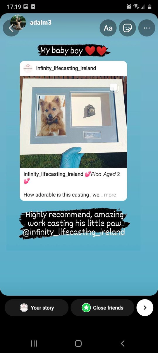 Get your dog casted by us 💕
cos dogs are family too ❤ 
A beautiful replica of your dogs paws to treasure. 

#dogcast #dogmemorial