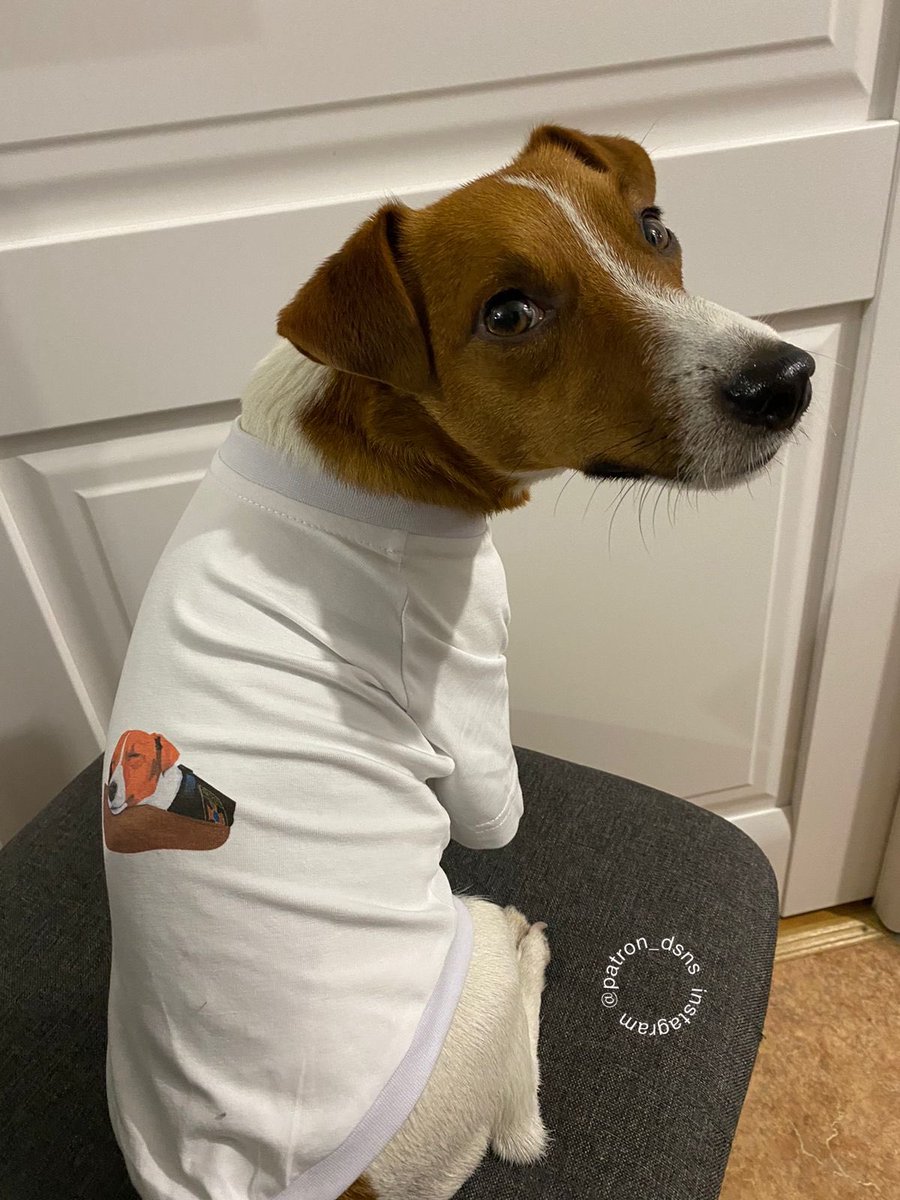 PatronDsns's tweet photo. And what if the end of the world is already here, and I'm a dog in pyjamas, not a dog in a uniform? 😰I'd better post a new video on Patreon to distract myself https://t.co/U5SKtrKTfK https://t.co/RQglvLrkAQ