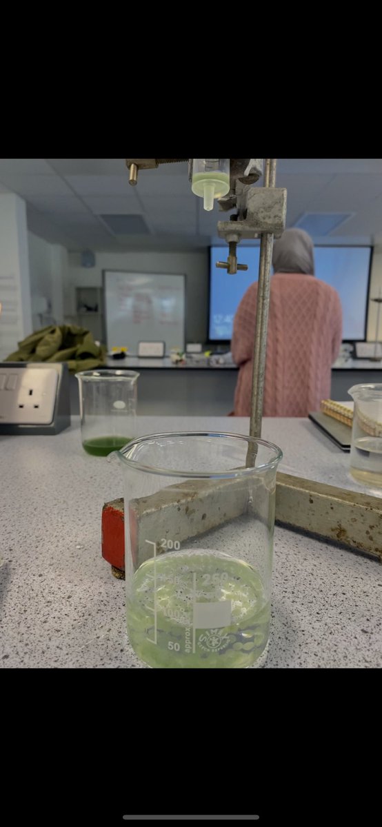Soph_Biology's tweet photo. Had a lot of fun making algal balls today! @UWPGSEC An alternative method used to see the effects of light intensity on the rate of photosynthesis! @SAPS_News 🌱☀️ https://t.co/i9rsoZR4S1