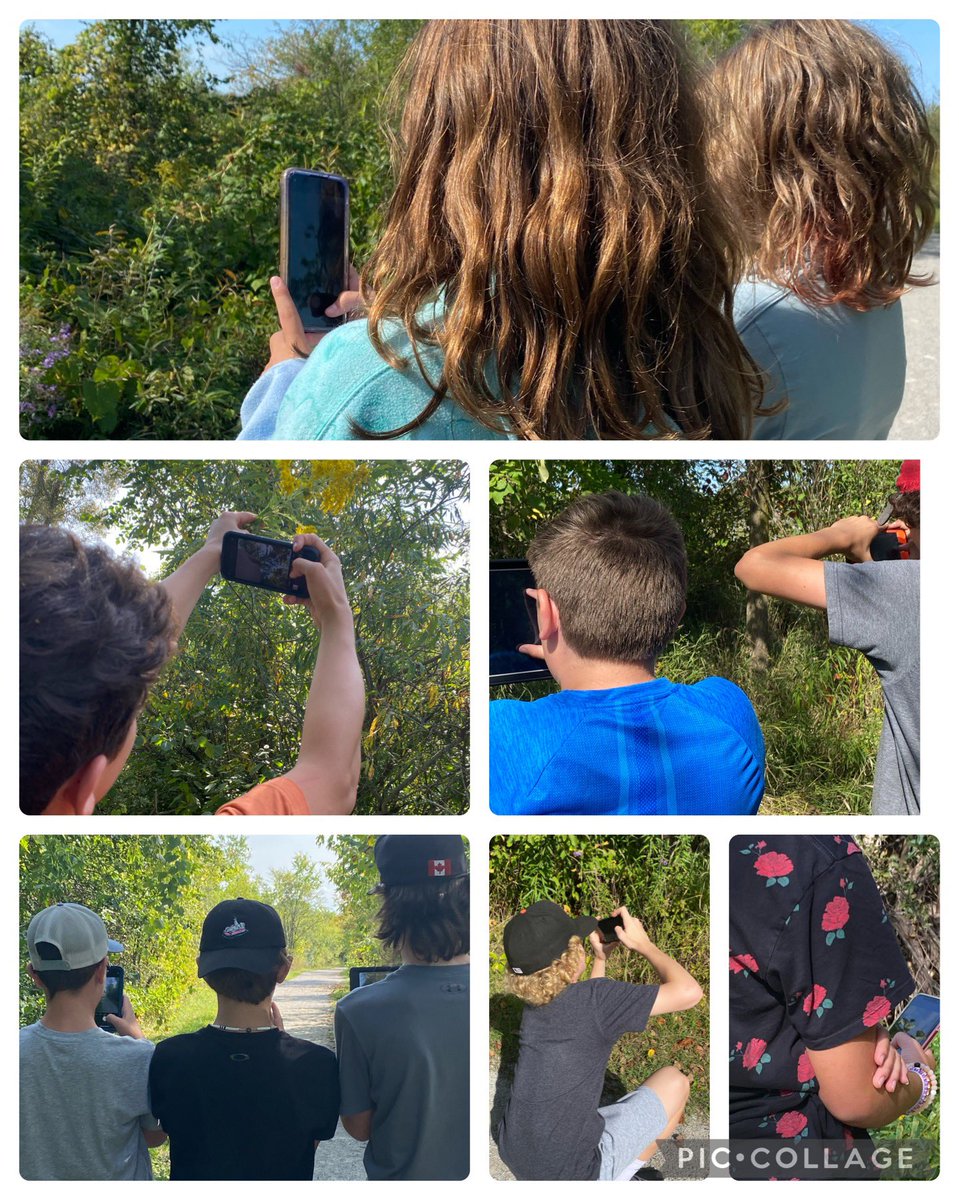 Working on our photography skills today in Gr. 8. Taking pictures that convey emotion. <a href="/cookstowncps/">Cookstown Central Public School</a>