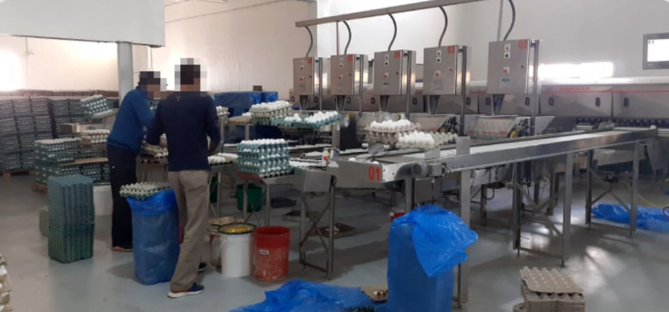 laprensadeanf's tweet photo. Allanaron una avícola en Deán Funes y detectaron casos de explotación laboral https://t.co/9PLiN7ZU7j https://t.co/N3FX0aS5XF