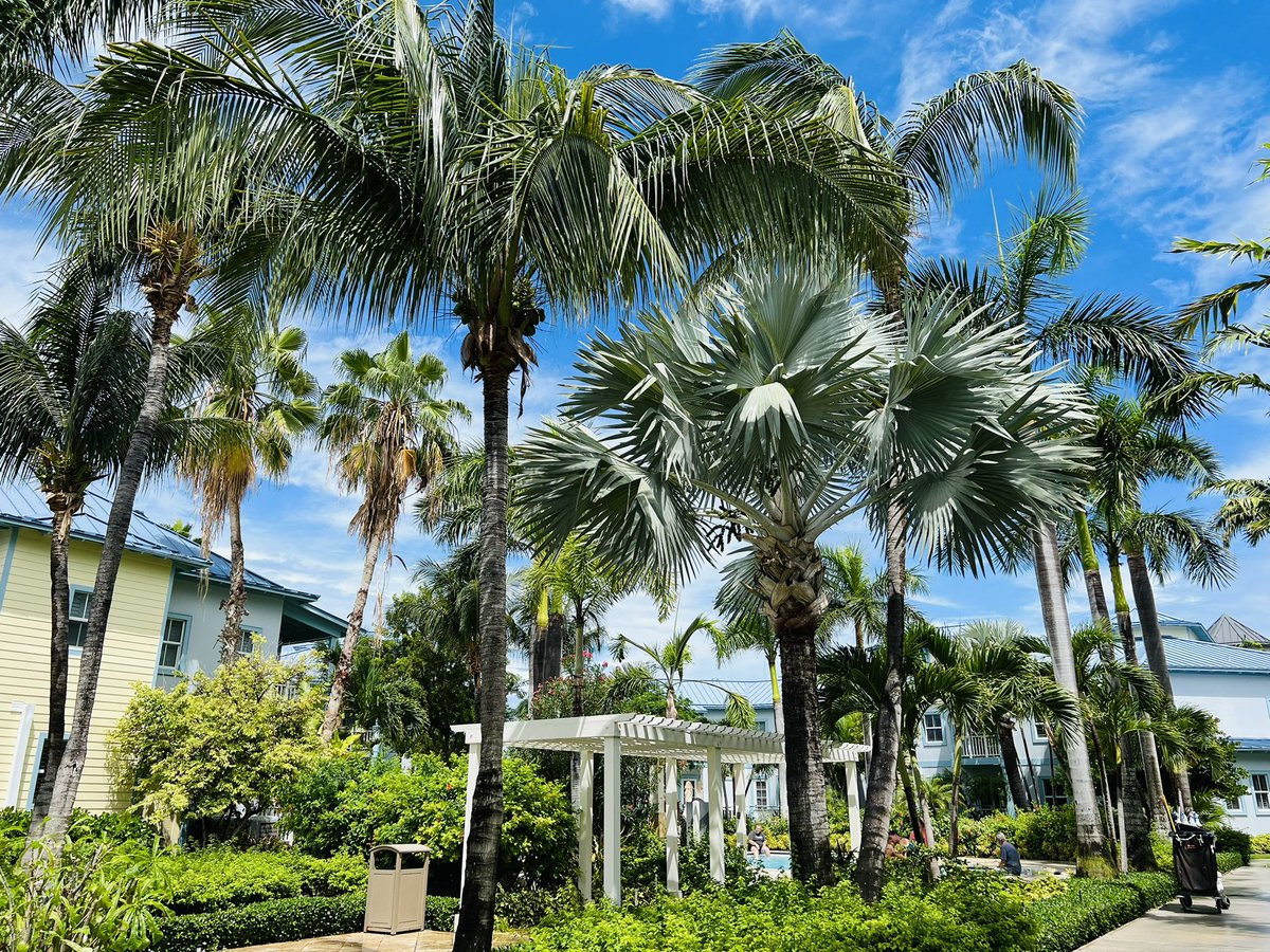 B96Chicago's tweet photo. The Morning Mess is giving away another trip to @BeachesResorts ππ΄βοΈ Listen for the first keyword at 6am then again at 7,8,9 #livefrombeaches #generationeveryone #beachesturksandcaicos
All info below:
https://t.co/IWLSjs9aJ3 https://t.co/IyQgazs57H