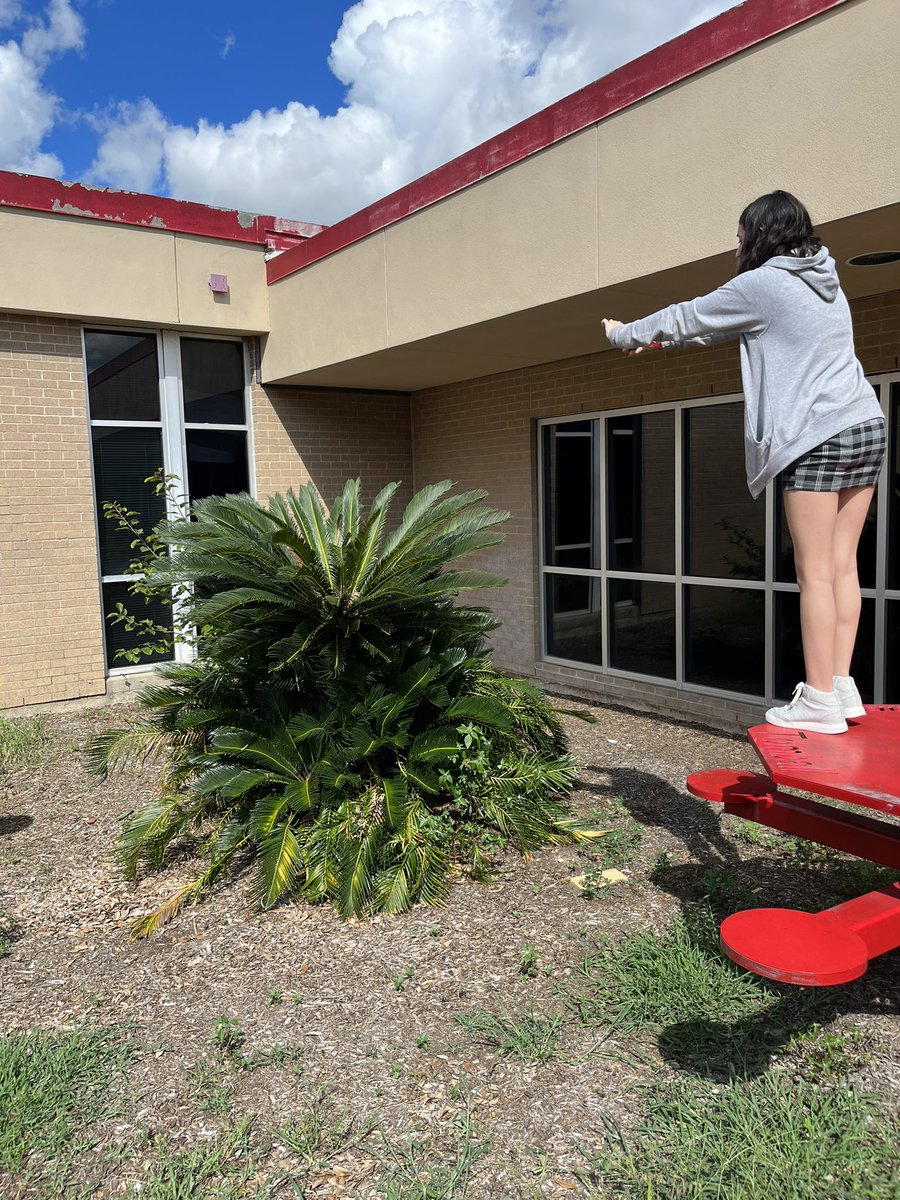 Tomball High School Robotics / PLTW tweet media