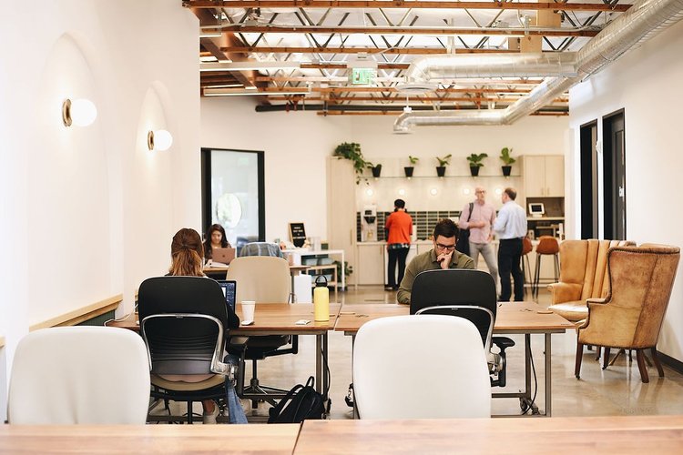 College info session Thursday 9/22 at 5pm PDT (8pm EDT). Register here: hildegard.college/events/p/hilde…