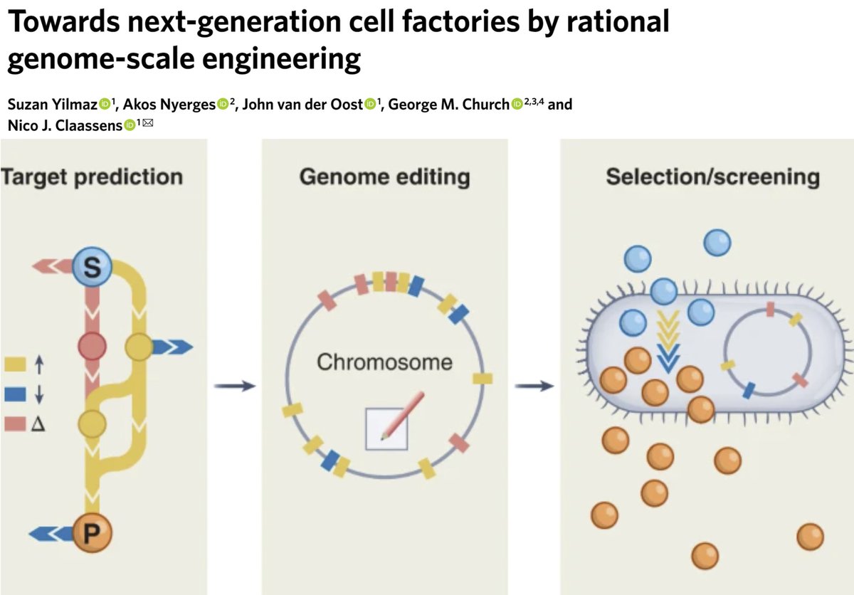Akos Nyerges tweet media
