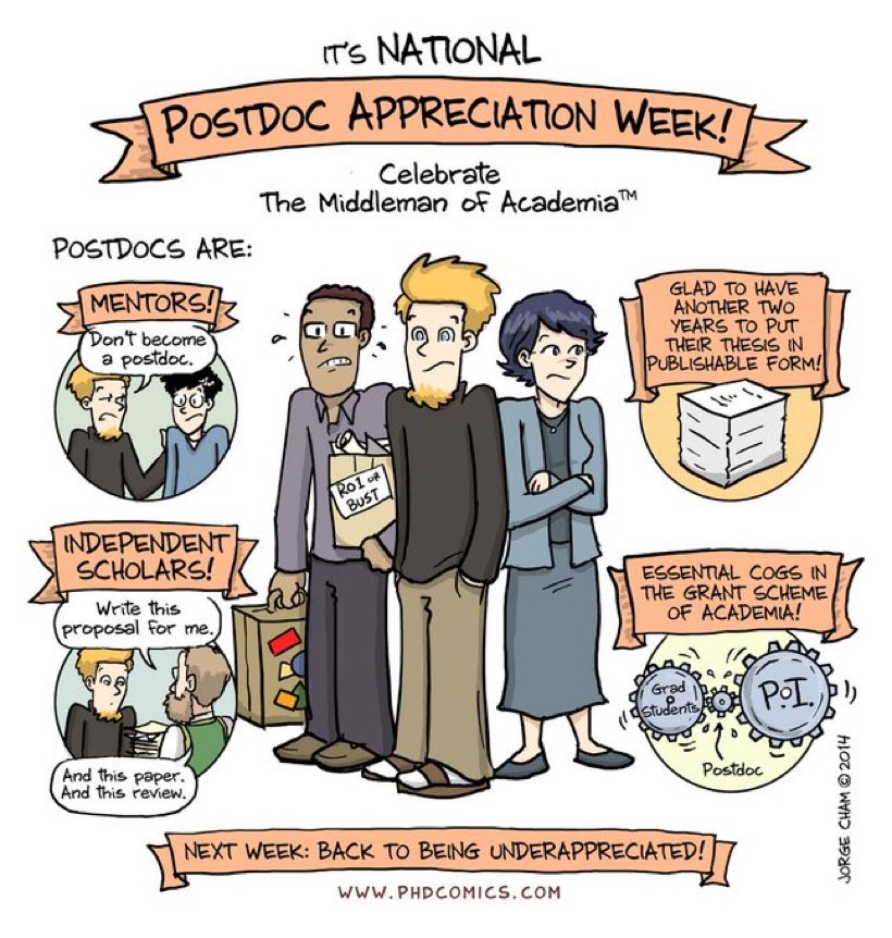 And because it is #PostdocAppreciationWeek we are hiring one (or two) 📣! Come join us if you are interested in structural cellular biology across scales and all  !We are a fun bunch 😉! All things transcription and genome structure/organisation!
https://t.co/t4zU65coZh https://t.co/bXGvZMzrZM