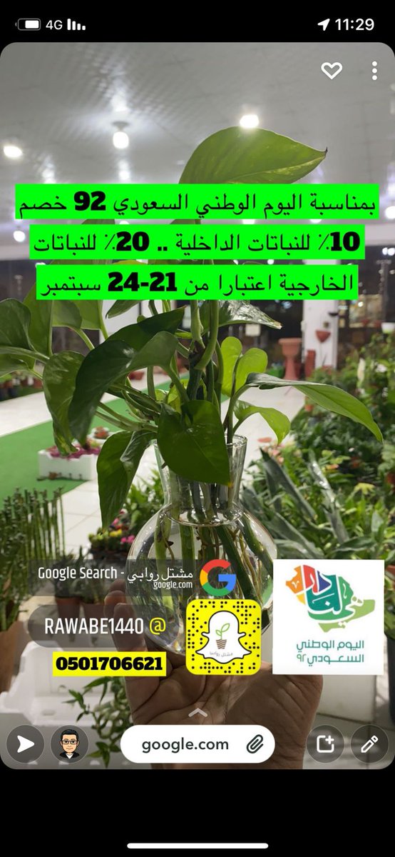 مشتل روابي محايل