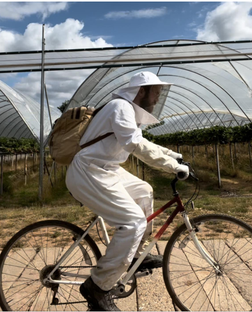 This is what bee research looks like - amazing field work review day with #Jorisbee <a href="/UniRdg_SAPD/">SAPD at Reading Uni</a> <a href="/UniofReading/">Uni of Reading</a> <a href="/deepa_sena/">Deepa Senapathi (she/her)</a> <a href="/worldbeeproject/">The World Bee Project CIC</a> <a href="/Fruit_Watch/">FruitWatch</a> <a href="/ChrisWyver33/">Chris Wyver</a> - <a href="/OracleResearch/">Oracle for Research</a> so proud to be a partner in 4 really interesting projects. #ClimateCrisis #pollinators