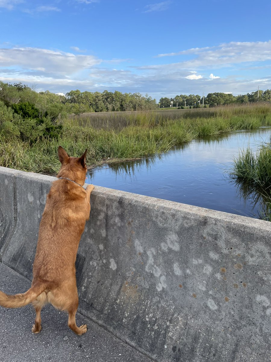 Afternoon views 🥰