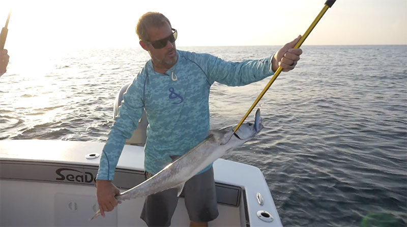 🎥🎣 Watch Now 🎣🎥  bit.ly/2Hjm45w
Emerald Tails: Snapper &amp; Kingfish Gumbo: The 2 Captains are looking to mix up a giant bowl of Gulf gumbo with their mixed bag of species – snapper, kingfish, and more. #ETgumbo #emeraldtailsOD #fishing