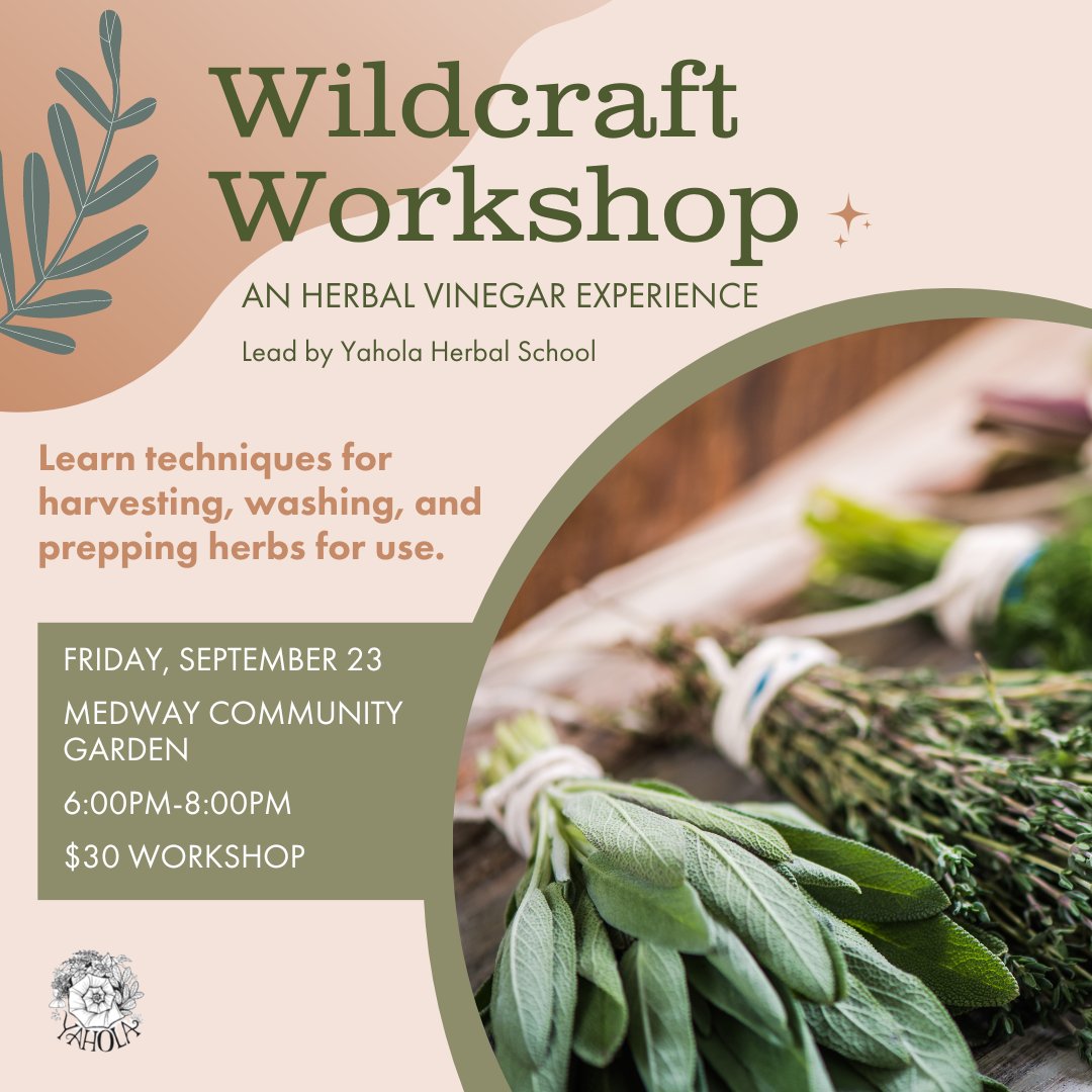 ChasParksConservancy tweet media