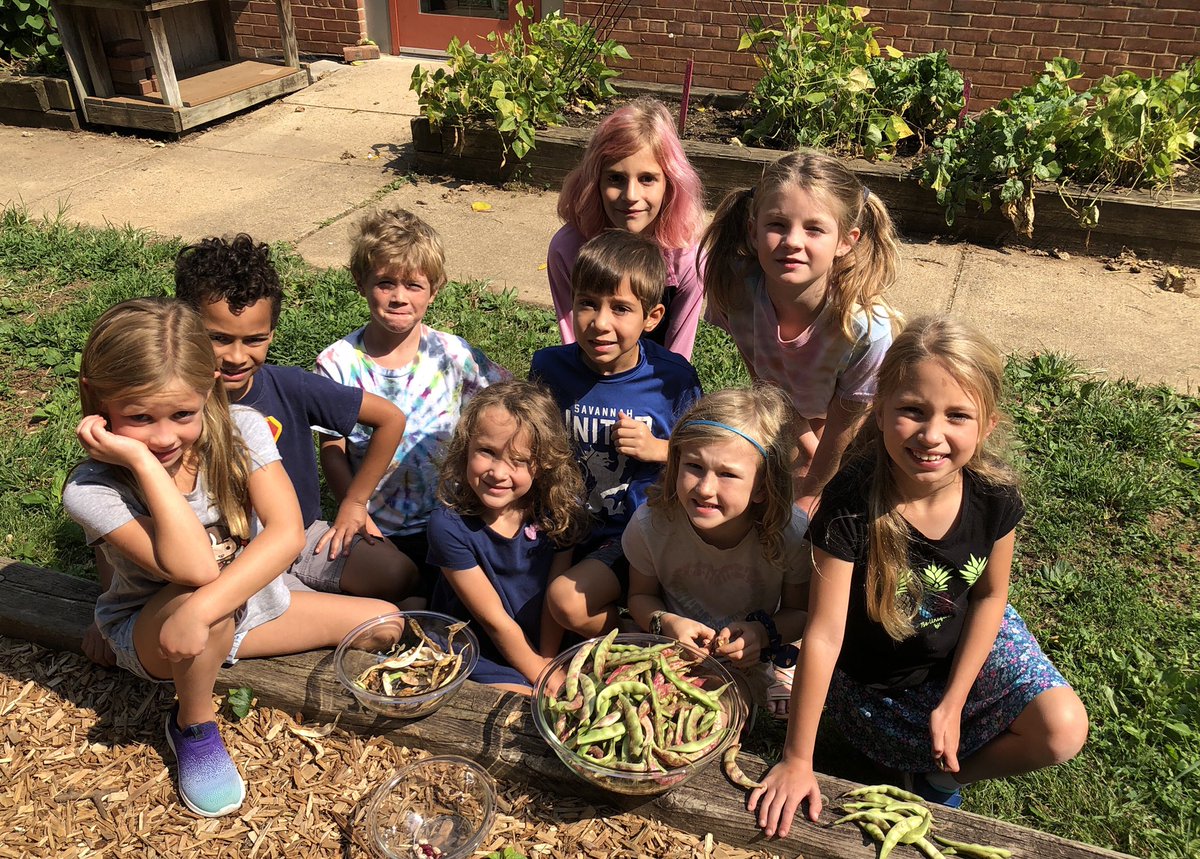 TESschoolyard's tweet photo. 2nd grade Sliders really enjoyed harvesting and shelling beans during Schoolyard Stewards. Slider quote: “Who knew beans could be so BEAUTIFUL!?!” #plotagainsthunger #TuckahoeRocks #outdoorlearning @2ndgradesliders @TuckahoeSchool 
@ArlingtonFOUA https://t.co/S90RtZXChj
