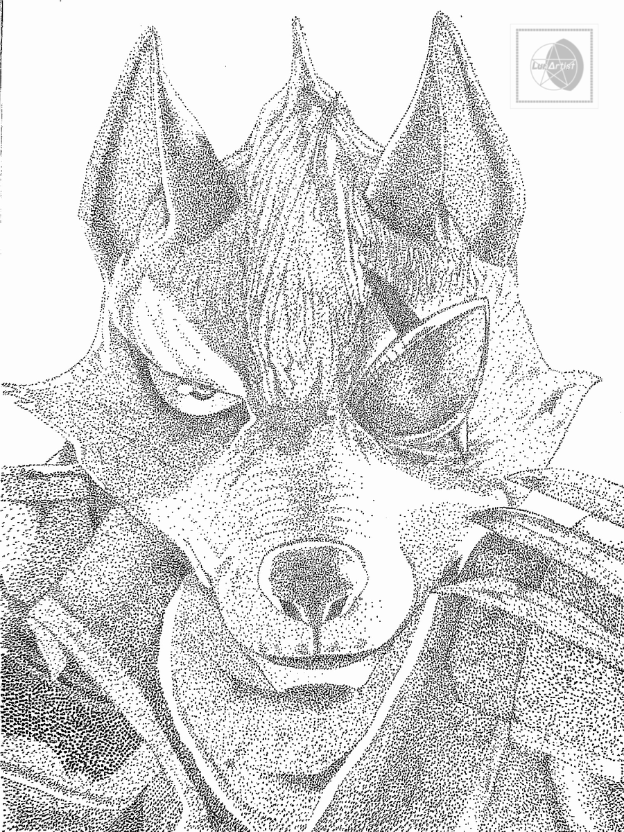 lun_artist's tweet photo. Wolf O'Donnell 🐺🚀 
Tradicional con técnica puntillismo
✍️☺️
#StarFox #traditionalart #arte #artwork #furryart #furry #WolfOdonell https://t.co/QbhdV4qbHn
