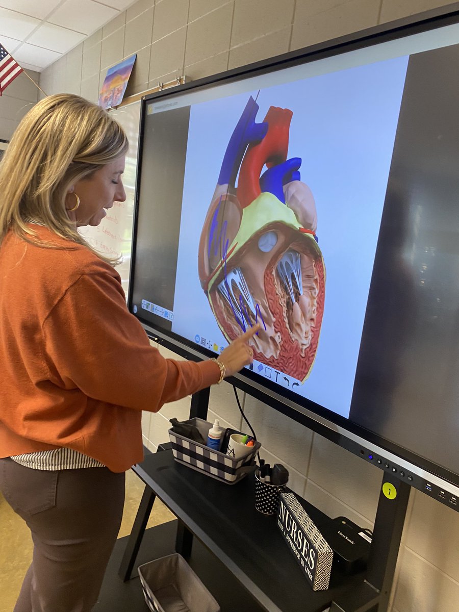 DelfredaC's tweet photo. Coaching Mrs. Weaver, Health 🫀 Sciences🧬Teacher on using myviewboard images and annotation tools to enhance instruction for students @HueytownHigh @HueytownThe @JEFCOED @JEFCOEDTech https://t.co/K0y7J1F2qF
