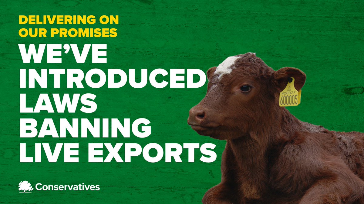 Will Our Government Deliver
On Their Promises?
#actionforanimals
#KeptAnimalsBill would make UK first country in Europe to end cruel live animal exports for fattening and slaughter.
@trussliz
@GOVUK
@ranil
@DefraGovUK
The British Public Care About Animal Welfare.
#BanLiveExport