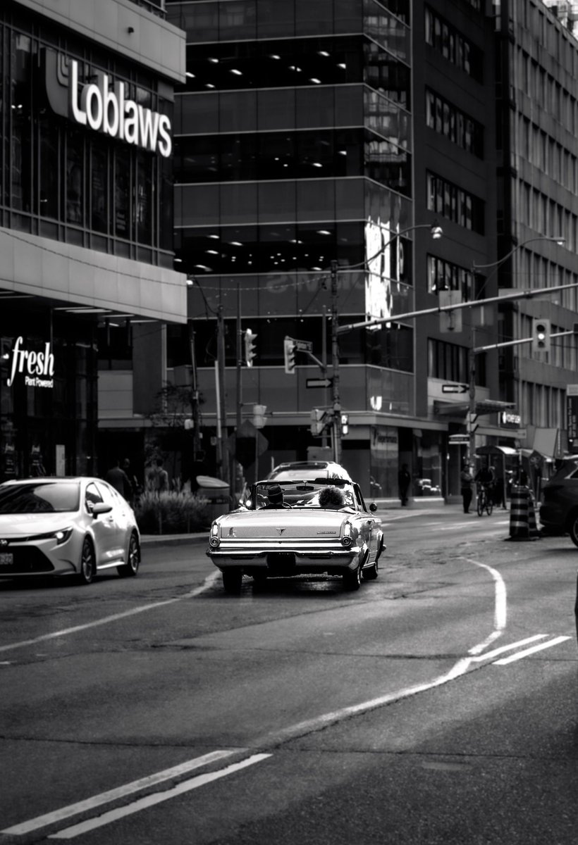 lamorphoto's tweet photo. Midtown Mood.
#blackandwhitephotography #toronto https://t.co/xPrhe1boQ8
