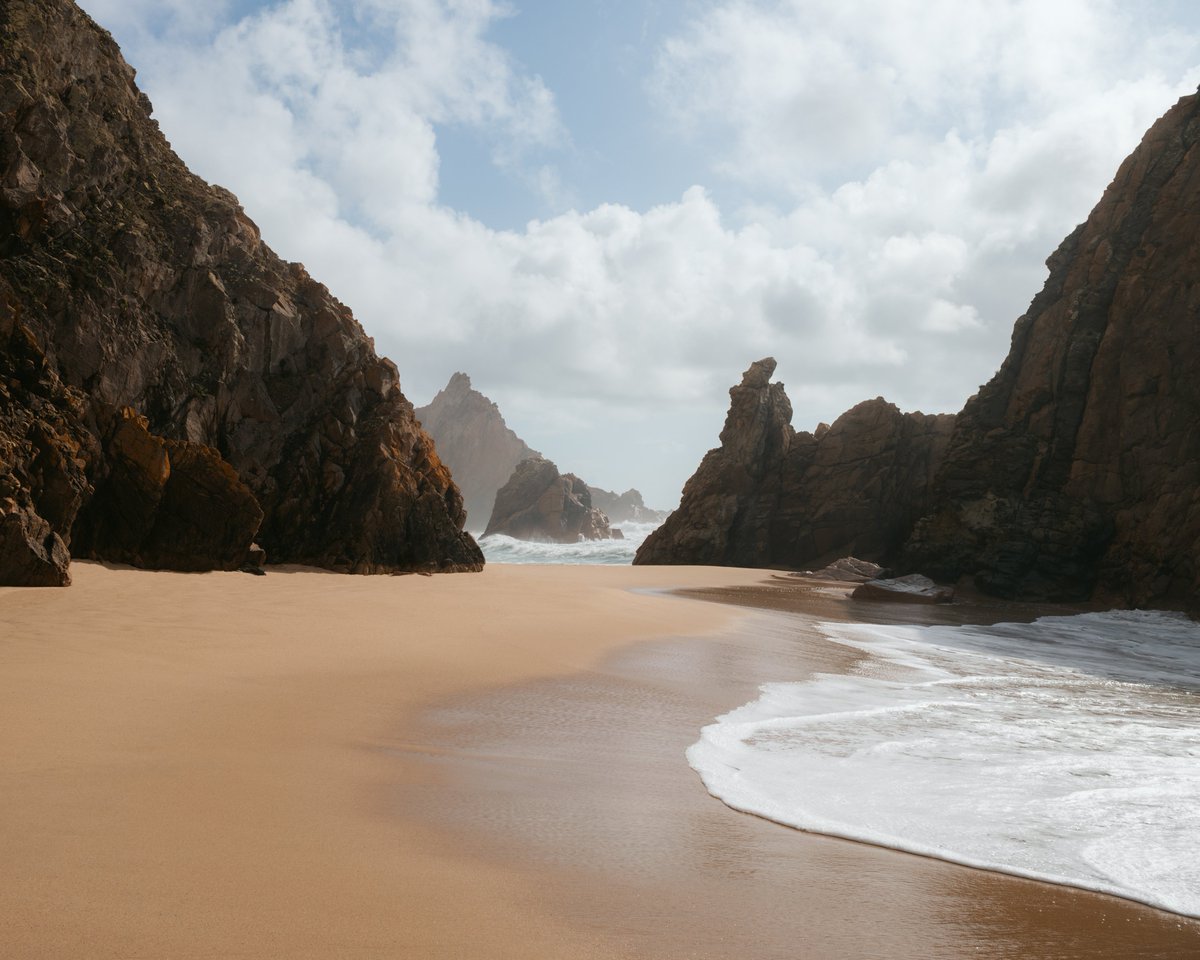 Zach Leon tweet media