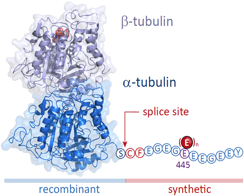 Beat Fierz tweet media