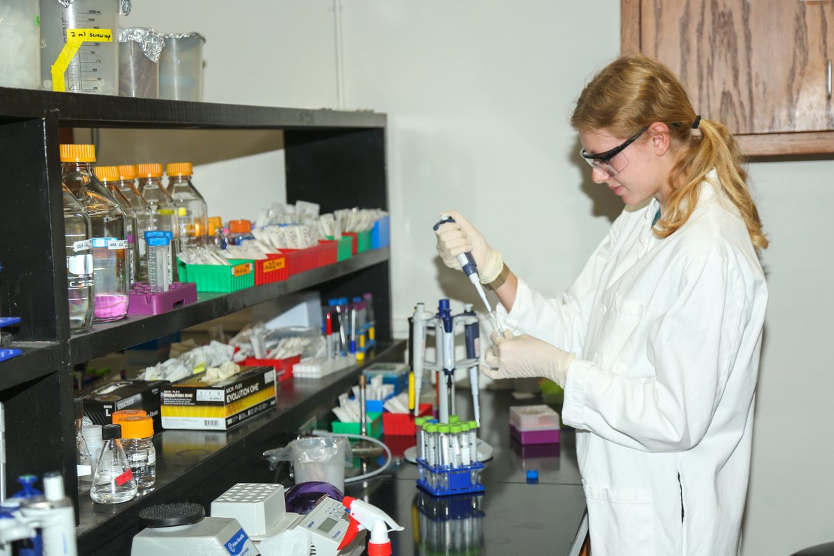 KStateCancerRes's tweet photo. RECAP: Check out our highlights from last week’s K-State Cancer Research week events! 
Our Open House event allowed anyone to visit the research labs here on and off campus, and learn more about what goes on at the cancer center research labs.
#kstate #cancerresearchweek https://t.co/n2JrgUQ6GI