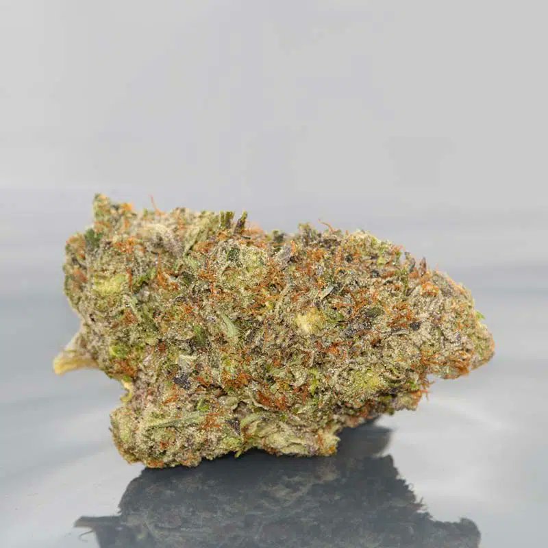 DealsCanna's tweet photo. #HighGradeAid: Get a free $25 credit for High Grade Aid when you spend $100. Use coupon: REF2TAYHAC3UN https://t.co/n6m0U0kEuB https://t.co/qj2FVZCZP5