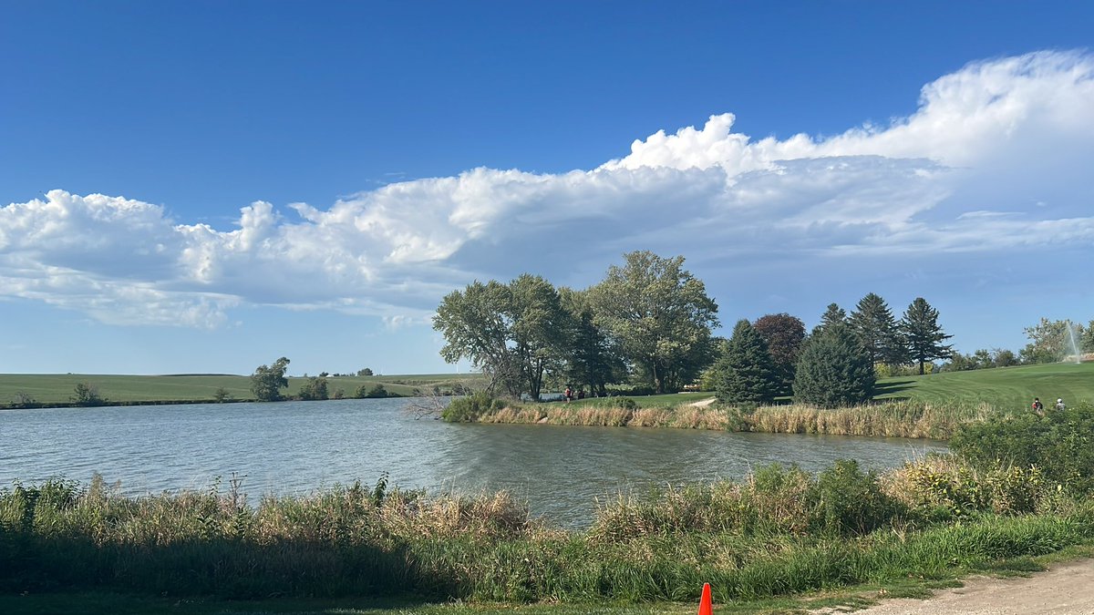 Jared Larson (archive) tweet media