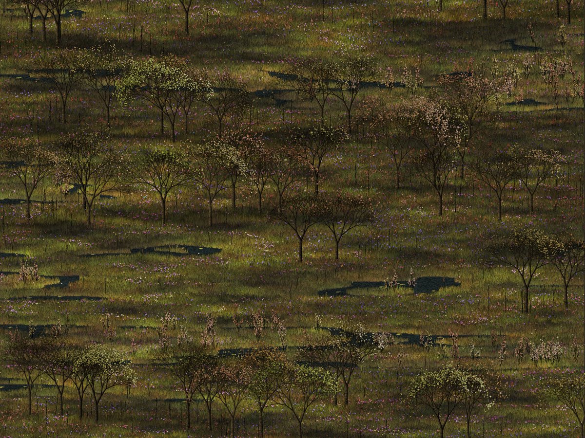 Lonliboy tweet media