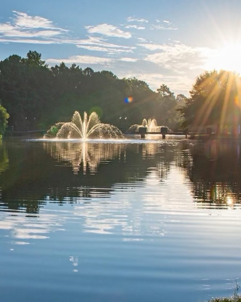 ccublackalumni's tweet photo. Happy #TealTuesday ! Today marks 68 years of CCU excellence! 👌🏽💛

Homecoming 2022 is just a few weeks away and we are gearing up for an AMAZING Homecoming weekend! 

We can’t wait to see you on campus and say, “#WelcomeBAC !” 🌟

#ccublackalumni 
#ccuhomecoming 
#WelcomeBAC https://t.co/11IndwnS20
