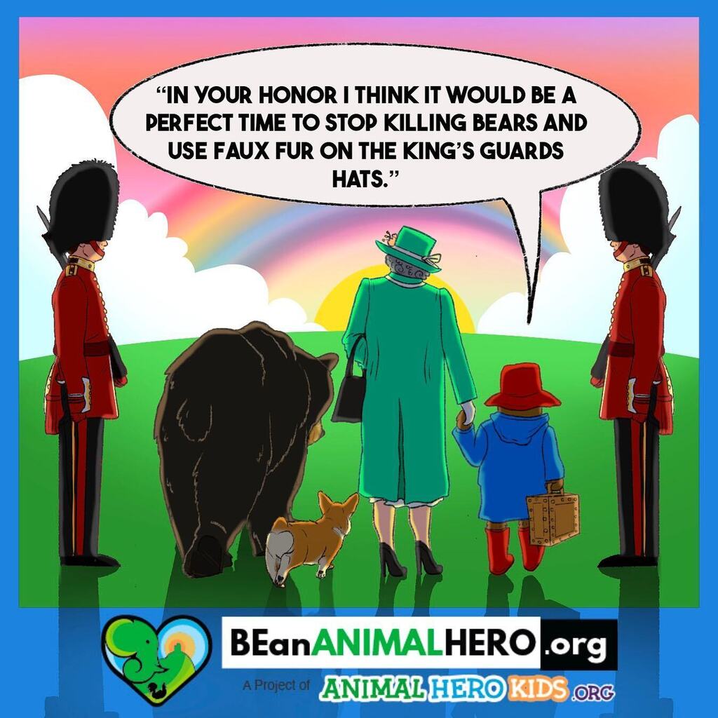 AnimalHeroKids's tweet photo. 1,000 bears in Canada are estimated to have been killed from 2014-2019 for 891 bear hats for the Queen’s Guard 
at the cost of £1,076,149 and bear’s lives. 

 (Independent News Nov 2021) 

The number of bears killed does not include those bears who are injured and may die sl… https://t.co/T3eaX37LHw