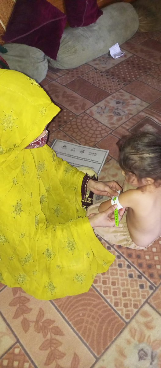 PrgramNational's tweet photo. LHWs of Quetta is screening children &amp; PLWs as well as conducting the #BCC sessions regarding key family care practices  at UC kotwal and Sabzal. #CommunityBasedNutrition Promotion #Nutrition # NationalProgram #UNICEF https://t.co/9C4TUeM2Gk