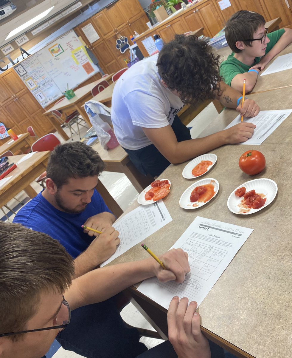 MrsYzar's tweet photo. Tomato Challengeโฆ which is best??
Heirloom garden, supermarket fresh, name brand canned or store brand canned??
#drawingconclusions #sayyestofcs #analyze #compare https://t.co/06yYKCYV7Y