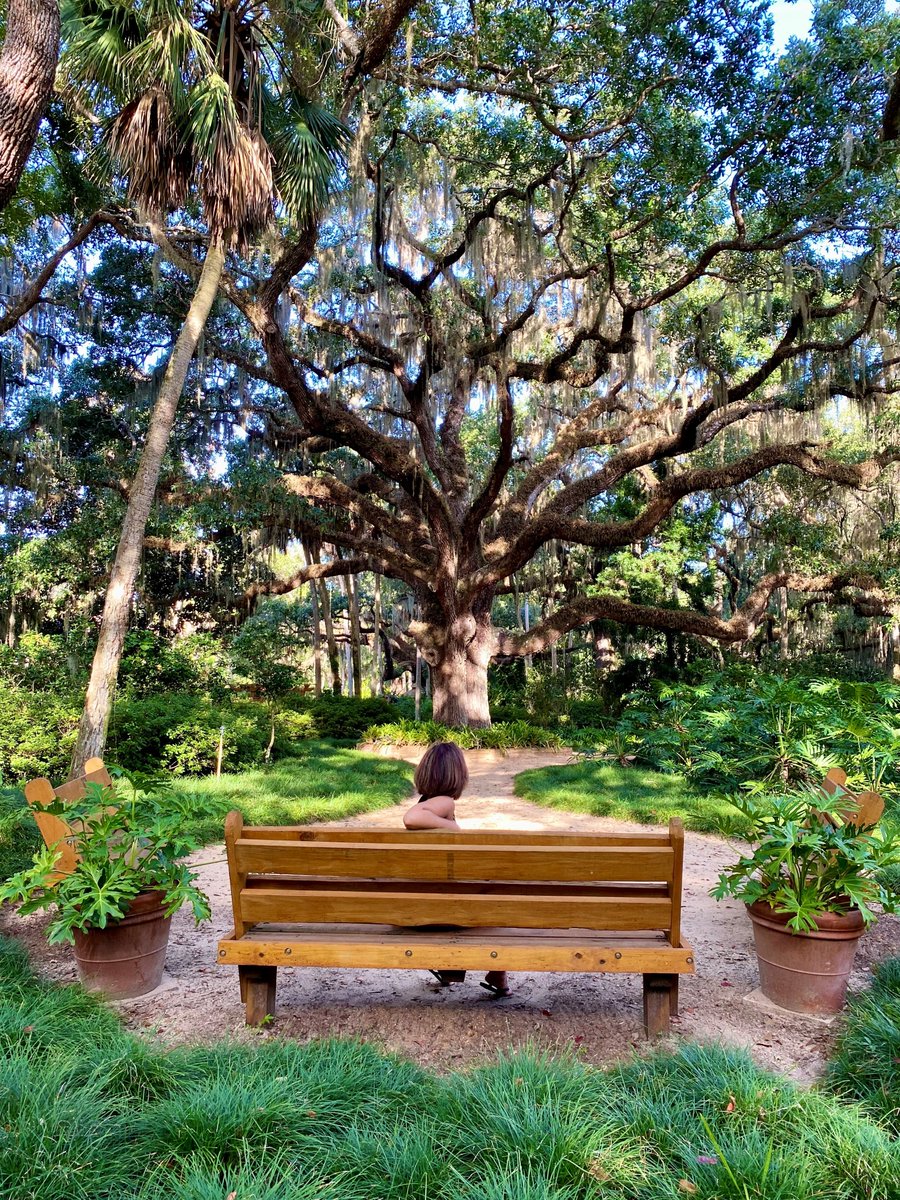 Visit Flagler tweet media