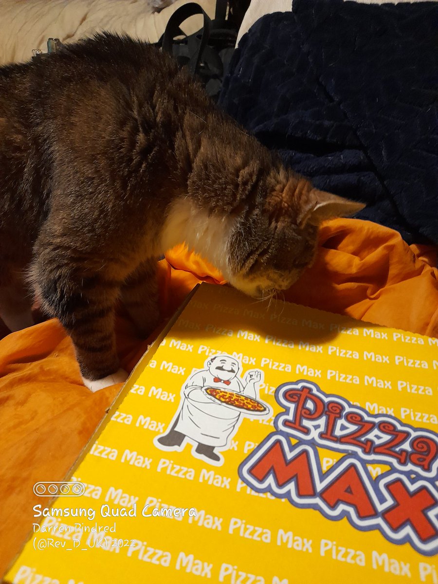 Rev_D_UK's tweet photo. It's pizza time from #PizzaMax in Wishaw .. Donner Kebab, Ham, Spicy Mince and cos I'm a rebel Pineapple with BBQ sauce as it's base sauce .. and a certain cat thinks it's hers 🤣🤣🤣 https://t.co/7Ar8q0DPfY