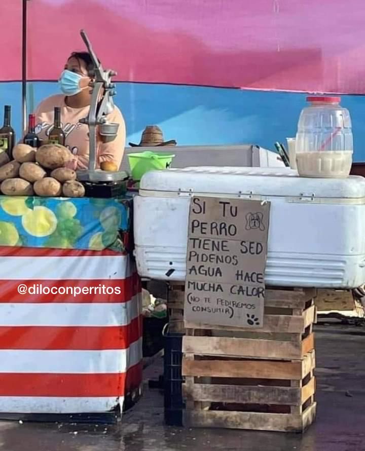 DiloConPerritos's tweet photo. La quiero mucho, señora que vende jugos y le regala agua a los perritos 🥺 https://t.co/rt8AafKAbB