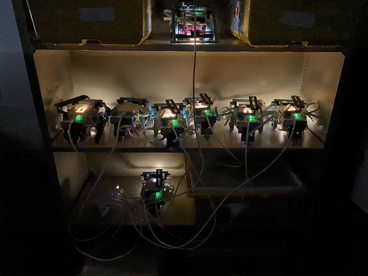 Morgan Burcham tweet media