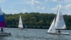 Dadz learninz tu sail buttz I'z wontz goz unlezz I'z gits TOONA!

Gitz meez TOONA outderez Dadz😹😹😹

#TOONA!