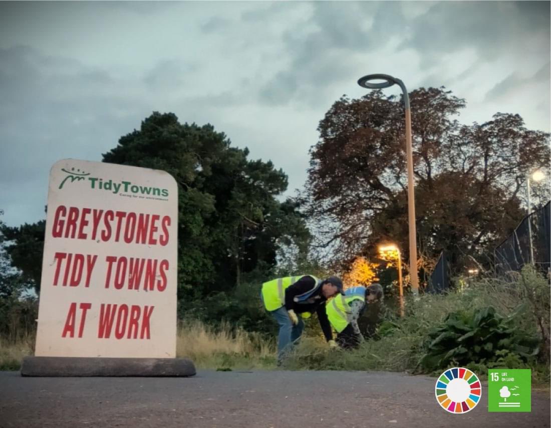 Great work by our team tonight, helping to give our young native hedging a fighting chance 🥰

#GreystonesTidyTowns #SDG15LifeOnLand