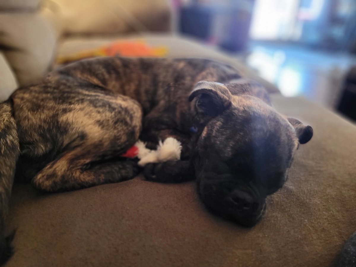 P U C K N Ξ L L tweet media