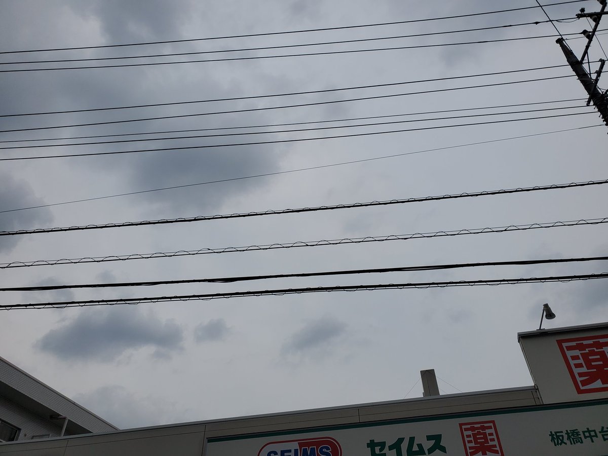 tosca0930's tweet photo. 6月11日(土)6:54、今朝も皆さんお揃いで…🐾

12:42、集会所へ向かうバス停🚏🚌にて、雲☁️の多い空を撮る📱

12:51、降りたバス停にて、季節の花🌼カラーと芙蓉

#猫
#カコソラ
#季節の花 https://t.co/W77D8ZwzvB
