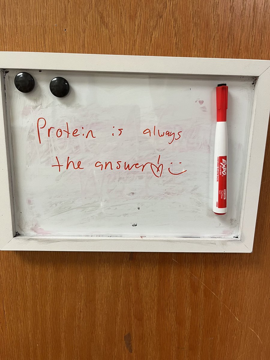 swleacock's tweet photo. Found this on my office whiteboard today. They’ve cracked the code. @ualr #lovemystudents #introbio #biology #proteins https://t.co/Sagdh8jKdV