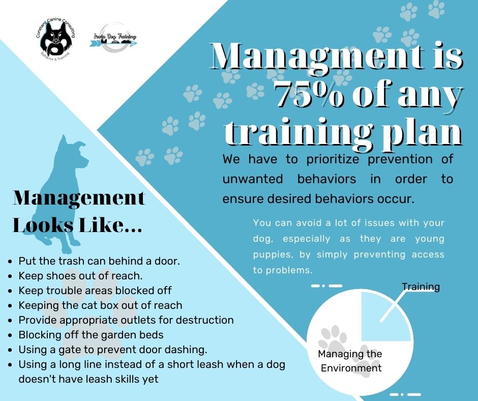 dogitmayconcern's tweet photo. Preventing mistakes is the first step in making sure your dog learns and acts on the behaviors your want! https://t.co/ROUHDcO6Nh