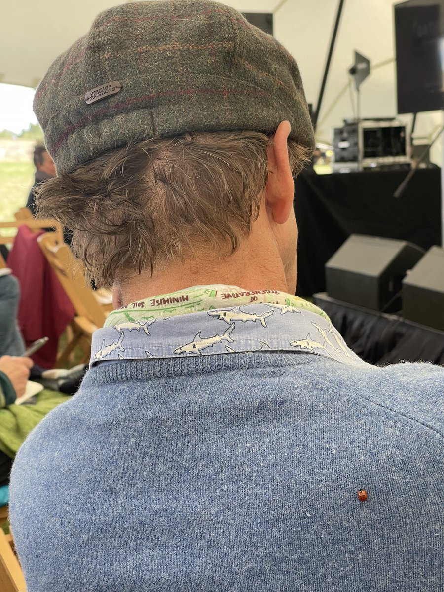 hanslope's tweet photo. Reviewing my photos from #GatheringatWildKenHill @WildKenHill Of all the people a ladybird cold have chosen #PaulCherry @Groundswellaguk Look busy, the messiah is coming 🙏🤣 https://t.co/vSj0u5NL7i