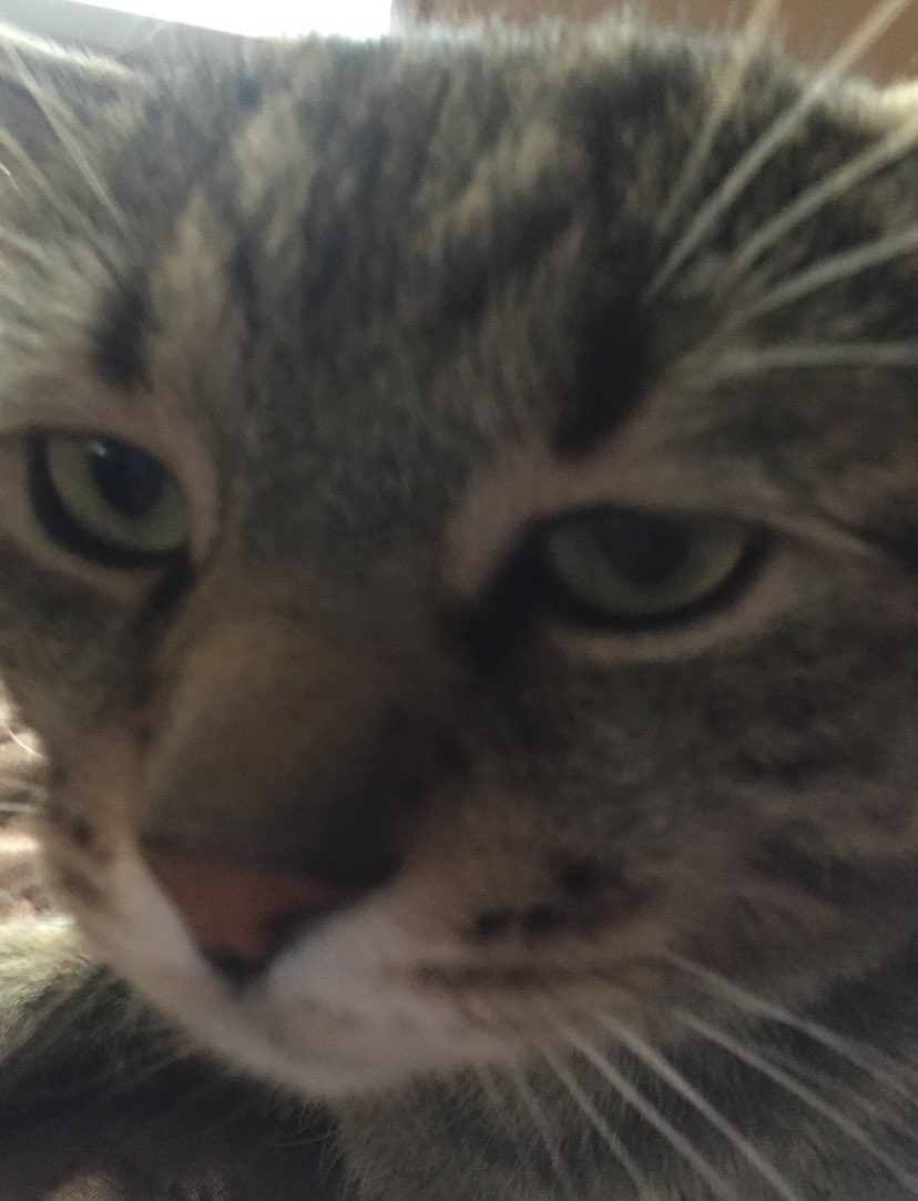 fil_luv's tweet photo. My second entry in #GTgame 😸
@GloomyTunesNFT https://t.co/zN9aCInptB