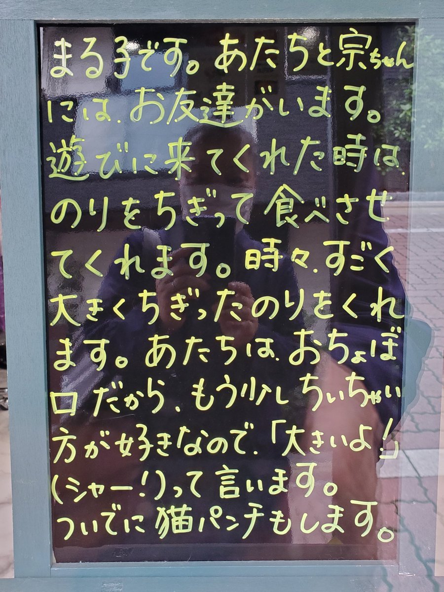 tosca0930's tweet photo. 6月12日(日)7:03、あら、お子さまたちは？

11:21、@Nekos_MORE さんのブティック👗前。エッセイ✒️の更新をゲット。あらら、まる子ちゃんたら😅

11:25、ヨーカドー駐車場からの空☁️
今日も慣れっこ曇り空☁️

12:22、にゃんにゃん通りから見ても、曇り空☁️😅

#猫
#ねこずMORE
#猫エッセイ
#カコソラ https://t.co/kbZYeg4yqE
