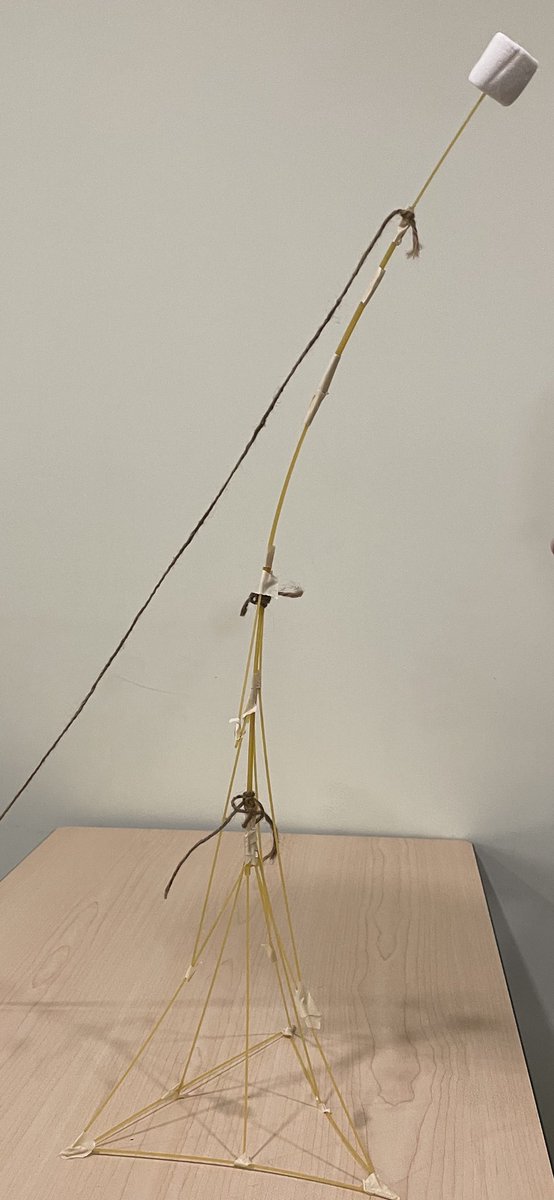 LauraFi26141447's tweet photo. Tonight @msvu_tech Marshmallow Challenge @alreyner lots of fun!!! https://t.co/emzqBI7b4B