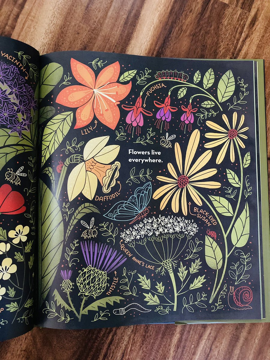 As a #plantbiologist with years of research about #floral reproduction, I am so excited to give this book by <a href="/ignotofsky/">Rachel Ignotofsky</a> to all the kids who know me as #auntie. I get asked if #cotton bolls are flowers and I think this beautiful imagery will help! (The boll is the #fruit)