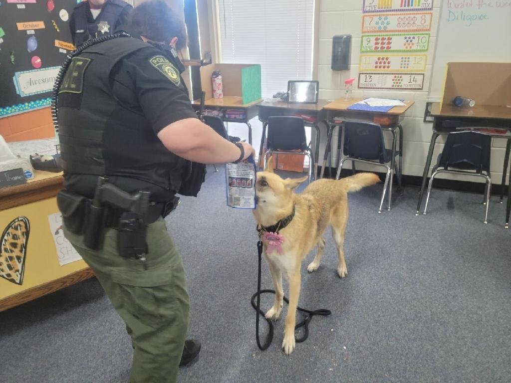 LawtonPS's tweet photo. Today is K9 officer CoCo's birthday! Students at Crosby Park had a party for her. Check out these photos from the party. Be on the look out for more pictures on Crosby Parks page.  #LawtonPS #WeAreLPS #oklaed https://t.co/z6PGPyq1FS