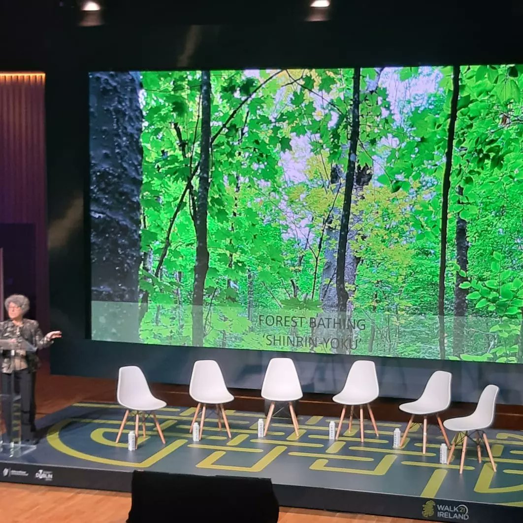 Ellen O Sullivan tweet media